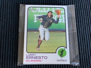 (10) 2022 TOPPS HERITAGE MINOR LEAGUE #60 LARRY ERNESTO CARD LOT  BREWERS