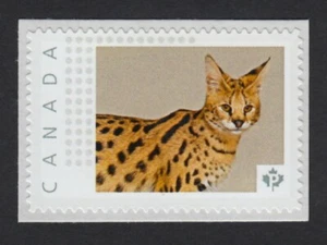 Savannah Cat = Bild Briefmarke postfrisch Kanada 2015 [p15-11-pc1/3] - Bild 1 von 2
