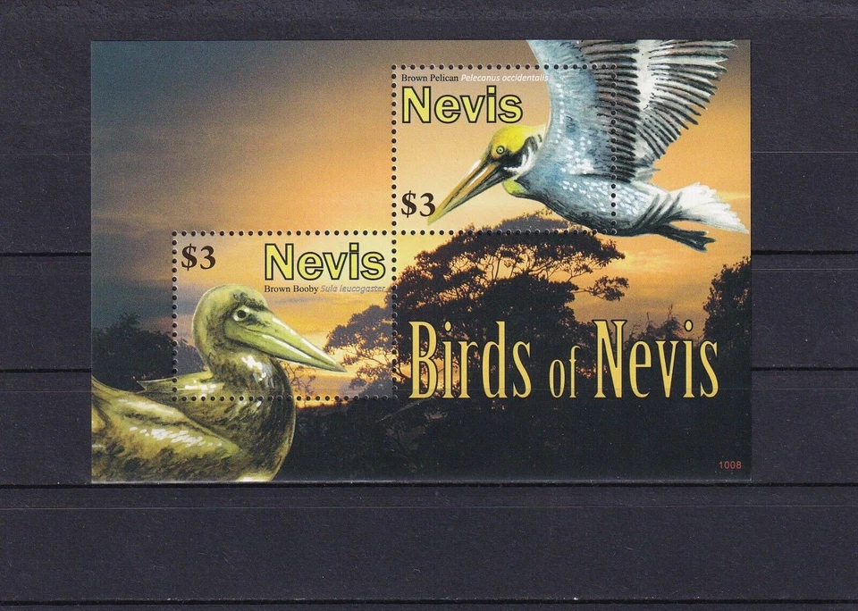 SA11e Nevis 2010 Birds of Nevis mint minisheet - Image 1 of 1