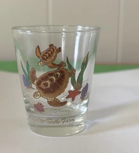 Cayman Turtle Farm Cayman Islands 2.25” Tall Souvenir Shot Glass - Picture 1 of 6