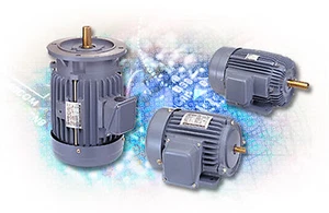 Adlee AC IEC Induction Motor AEVF (Vertical) Motor 1/2 HP 4P 230/460-CSA - Picture 1 of 2