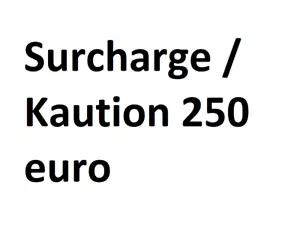 surcharge / kaution 250 euro - Bild 1 von 1