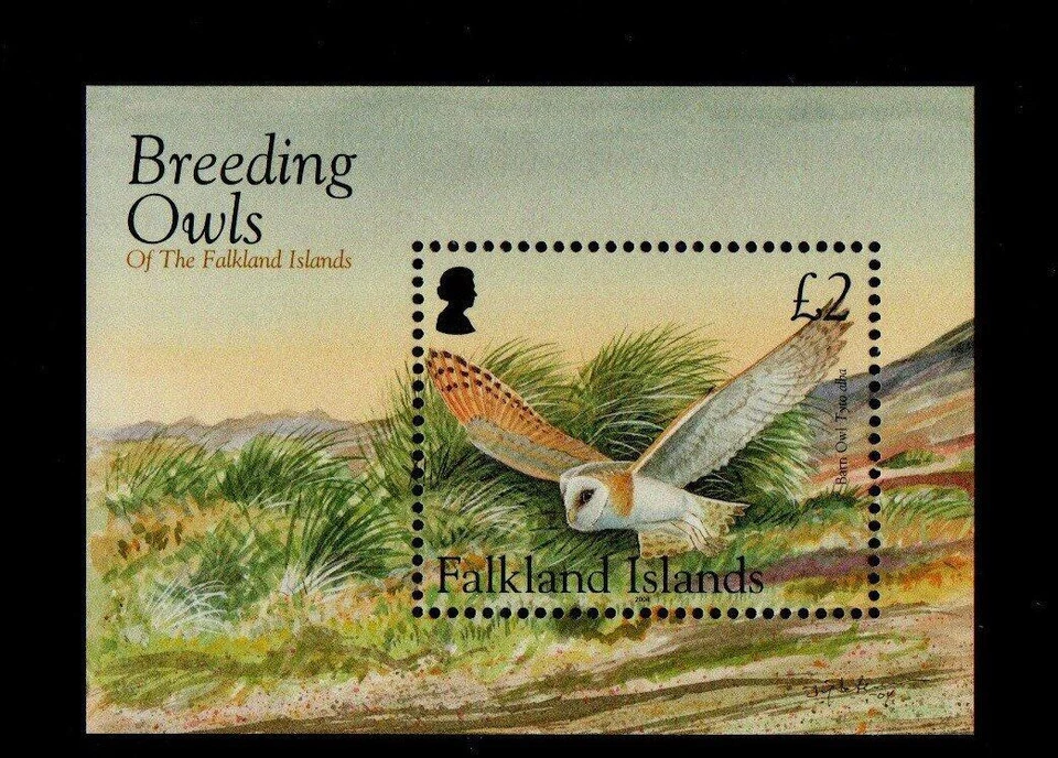 FALKLAND ISLANDS 2004 SGMS1001 BREEDING OWLS MINISHEET MNH - Image 1 of 1