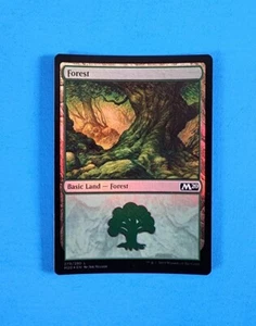 1x Forest Basic Land Core Set 2020 Mtg Magic Gathering Card Green Mana Foil 279 - Picture 1 of 2
