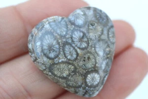 GOLDJUNGE69 * KORALLE FOSSIL EDELSTEIN HERZ  30 x 30mm 55 ct. + - Bild 1 von 3