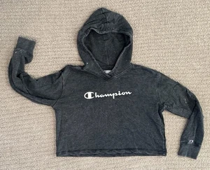 Champion Weathered Gray Pullover Hoody Size Large Crop Logo Sweatshirt - Picture 1 of 5
