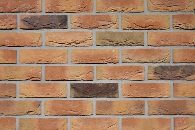 Klinker-Riemchen Barok WDF Handform rot-braun nuanciert Riemchen VanderSanden - Bild 1 von 2