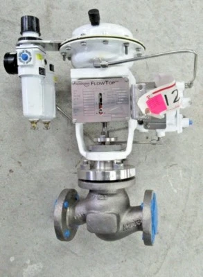 FLOWSERVE FLOWTOP 1-1/2" POSICIONADOR DE ALTO RENDIMIENTO TIPO FLOWTOP Foto 1 de 3