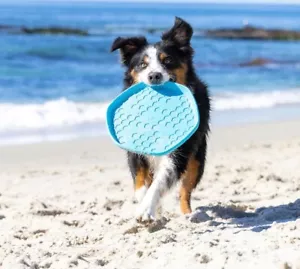Project Hive Pet Company Soothing Vanilla Scented Disc & Lick Mat Dog Toy Floats - Picture 1 of 5