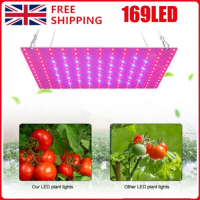 2000W LED Grow Light Hydroponic Full Spectrum Indoor Veg Flower Plant Lamp New - Image 1 of 4
