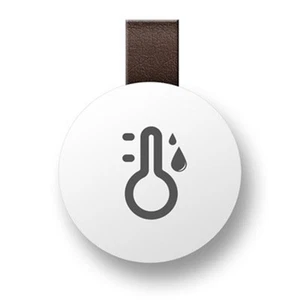 Keychain Thermometer for Monitoring Indoor Temperature and Humidity Levels - Photo 1/7