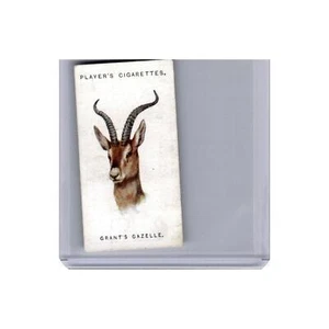 Grant's Gazelle 1937 Spielerzigaretten Wildtiere Köpfe #24,0 sehr guter Zustand - Bild 1 von 3