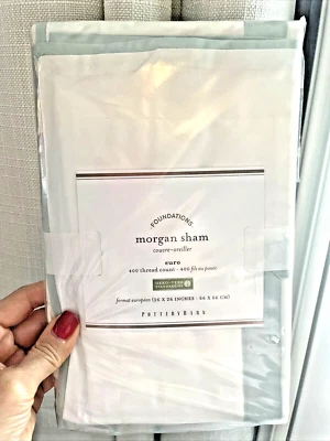 Almohada Pottery Barn SHAM regalo de vacaciones princesa escuela niña Frozen Disney aqua, Foto 1 de 4