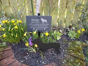 Memorial Pet Sign, In memory of Plaque. Remembrance of Dog, Cat, Rabbit or Other - Picture 1 of 26