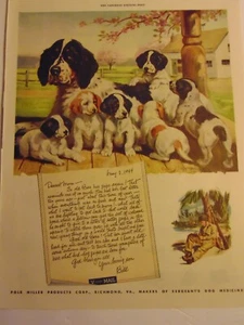 1944 Soldier V-MAIL Letter Dog and PUPS SERGEANT'S Dog Medicine art print ad - Picture 1 of 1