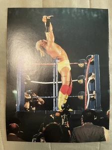 Hulk Hogan WrestleMania III 3 Wrestling 2002 1987 WWF WWE Pinup Poster - Picture 1 of 1