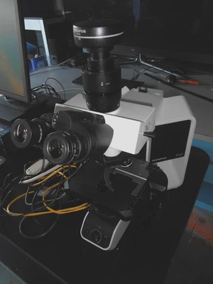 Olympus BX43 microscope w/3 Objectives UPlanFL-N 100x, Plan-N 40x and Plan-N 10x - Image 1 of 4