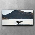 Whale Tail Greenland 120x60 Canvas Wall Art Image Photo Print Ready To Hang