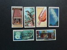 CIGARETTE  CARDS  DO YOU KNOW      W D & H O WILLS  6 CARDS LOT 2