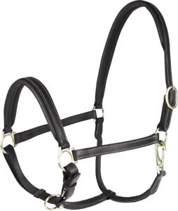 HORZE Largo Genuine Leather Horse Halter | Adjustable Padded Noseband and Crown