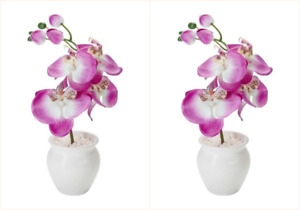 Avon Zaria Faux Orchid with white Ceramic Pot x 2, Fake Flowers, Gift, Christmas