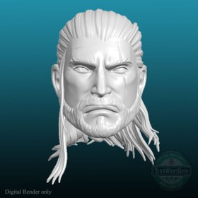 The Witcher video game version v1 Geralt of Rivia custom head for action figures