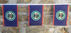 Belize Flag Bunting - 6m With 20 Flags - Afbeelding 1 van 4