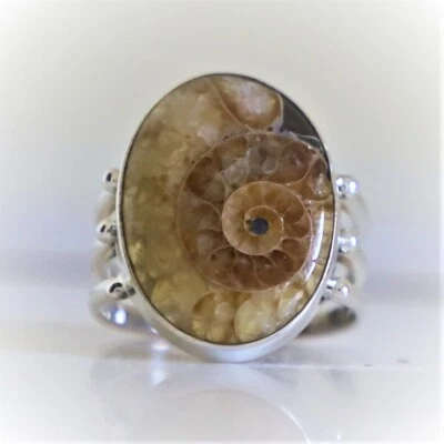 AMMONITE FOSSIL 天然宝石 925 纯银珠宝戒指 3 至 12 — 第 1/4 张图片