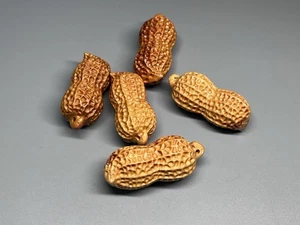 Holz geschnitzt Erdnuss Netsuke Lot 5 Stck. Japanisch Glücksbringer Japan Made - Bild 1 von 5