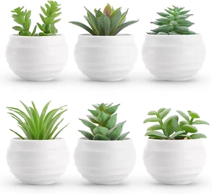 Set of 6 Succulents Plants Artificial in Pots Small Fake Plants for Bedroom Aest - Picture 1 of 12