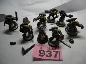 Warhammer 40k Space Wolf Wolves Grey Hunters Wolf Guard Adeptus Astartes R937 - Picture 1 of 4