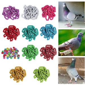 50 Stück Vogelringe Aluminium - Offene Fußringe Für Papageien, Kanarienvögel, Tauben