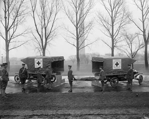 Yale & Harvard Student Red Cross Vintage 8x10 Reprint Of Old Photo - Picture 1 of 1
