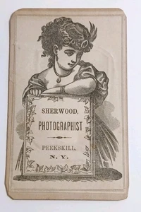 Tin Type Photo Holder Sherwood Photographist Peekskill New York 1880's - Picture 1 of 8