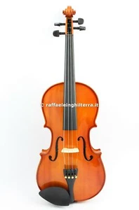 Domus viola 15.5" VLA920 Rialto