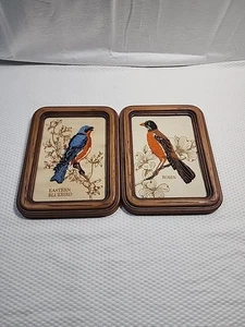 Juego De Colección De 2 ~ Impresiones De Pájaros De Lino Puro Años 70 8”x6” Impresiones Difícil De Encontrar - Imagen 1 de 8