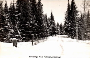 POSTCARD RPPC GREETINGS FROM HILLMAN MICHIGAN - SNOW SCENE - Picture 1 of 2