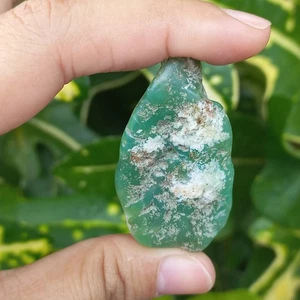 20Gr Natural Rough Green CHRYSOPRASE Mineral Specimen Rough - Picture 1 of 8