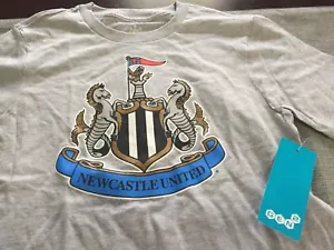BOYS YOUTH NEWCASTLE UNITED THE TOON NUFC SHORT SLEEVE T SHIRT LARGE L GRAY NWT - Picture 1 of 2