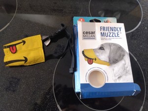 cesar millan dog muzzle
