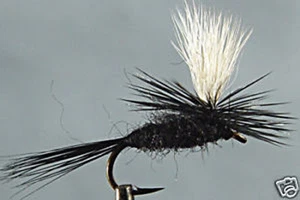 10 x Mouche Sèche Araignée Noire Parachute H12/14/16/18/20 LOT dry fly fishing - Imagen 1 de 1