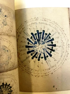 The Voynich Manuscript Full Color Facsimile (Mystery Language) - Picture 1 of 13