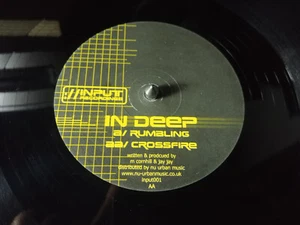 12" Vinyl In Deep Rumbling Crossfire Input001 Drum n Bass DJ Dance 2002 - Picture 1 of 7