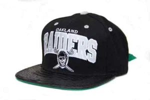 Mitchell & Ness Oakland Raiders Arch Logo Python Hat - Just Don Style Hat - Picture 1 of 2