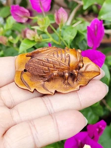 Netsuke de boj tallado a mano Y8054 - 2": hermosa cigarra sobre hoja - Imagen 1 de 10