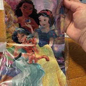 DISNEY PRINCESS Fairy-Tale Friends Plastic Table Cover Tablecloth - Picture 1 of 4