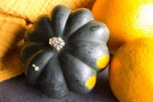 50 Giant Acorn Squash Seeds for Planting Table Squash Delicious and Nutritious - Picture 1 of 2