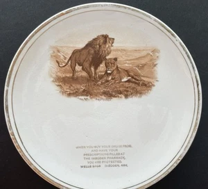 WELLS BROTHERS PHARMACY Imboden Ark Placa Publicitaria Harker Pottery aprox. 1890 - Imagen 1 de 5