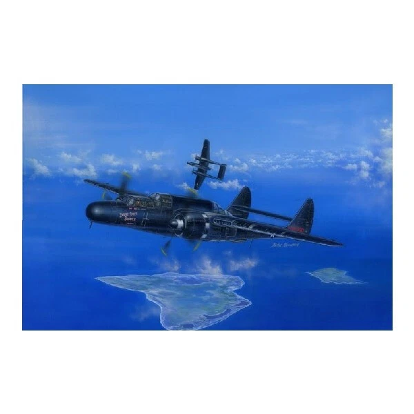 P-61B Black Widow — 第 1/1 张图片