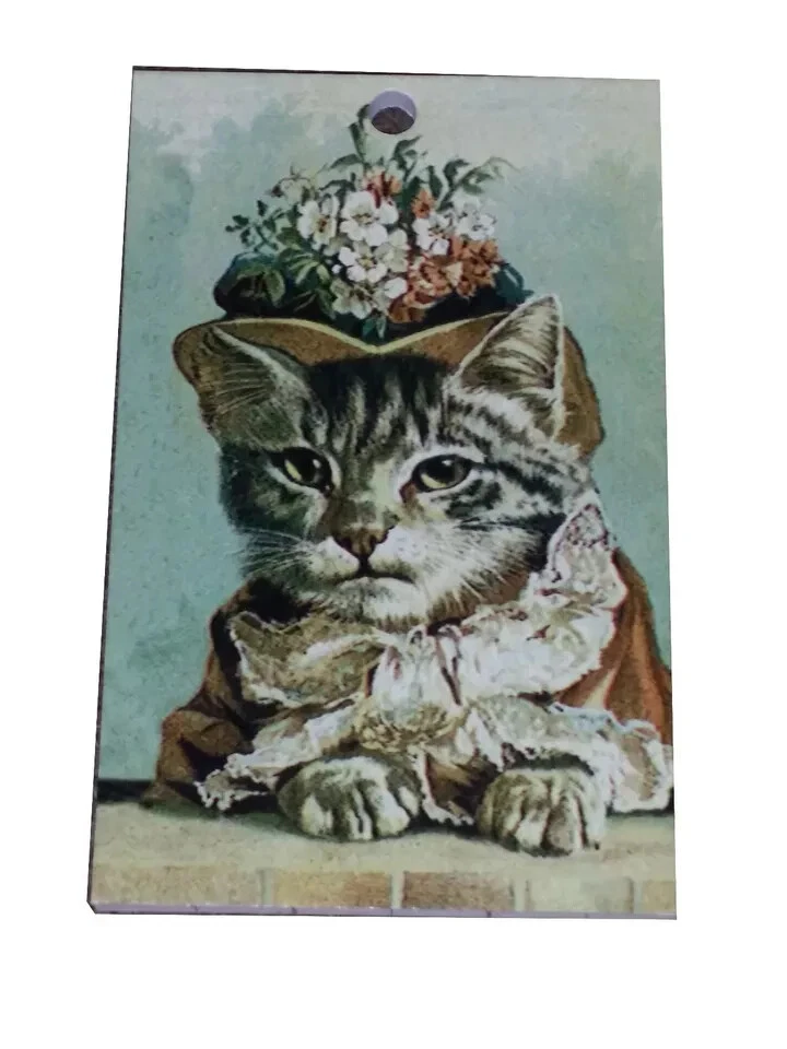CATS Playing Cards - Jumbo Index Congress Designer Series -Bo decks of cards